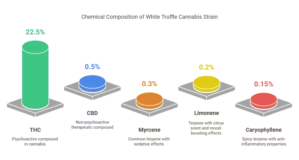 White Truffle Strain